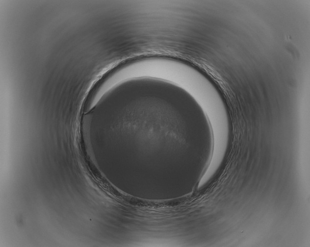X0000111520488200908041247