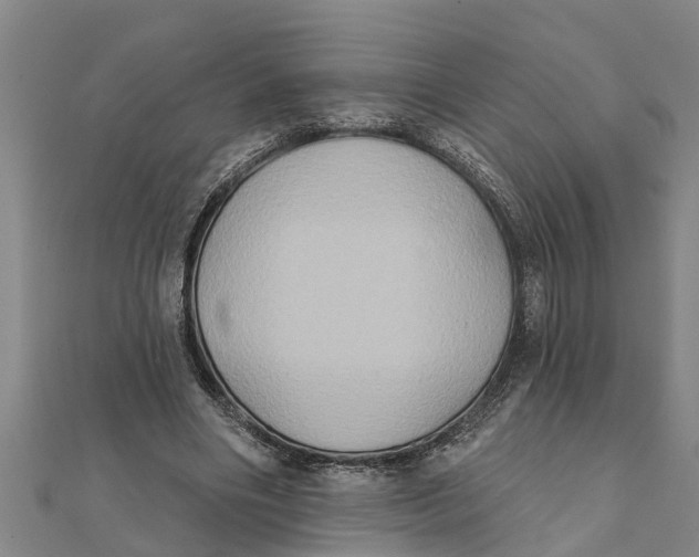 X0000111520490200908041247