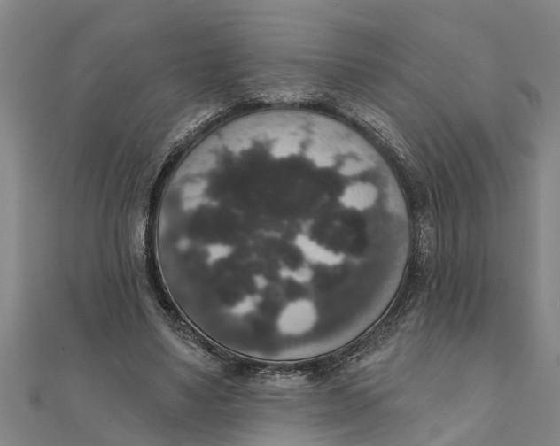 X0000111520491200908041247