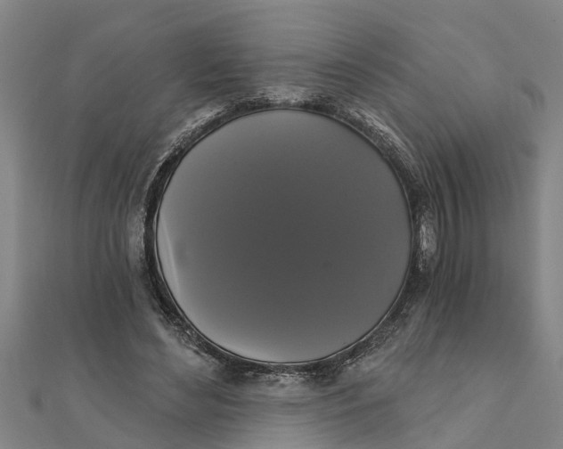 X0000111520492200908041247