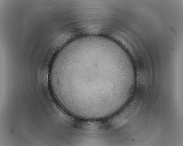 X0000111520493200908041247