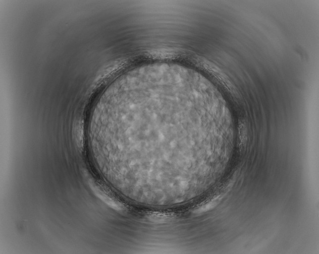 X0000111520494200908041247