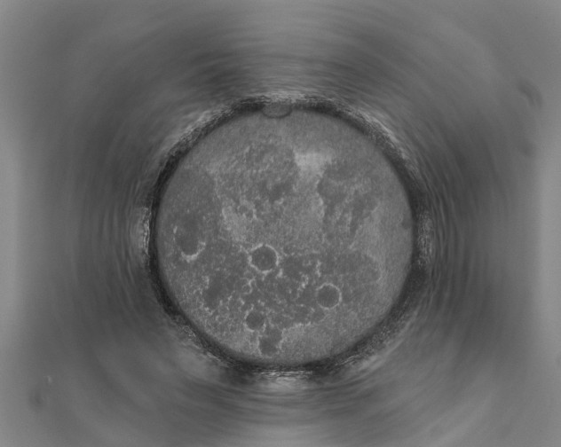 X0000111520495200908041247