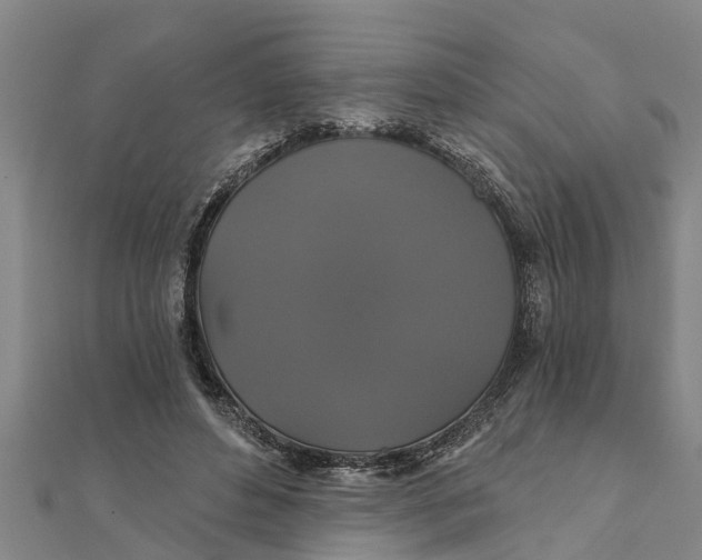 X0000111520496200908041247
