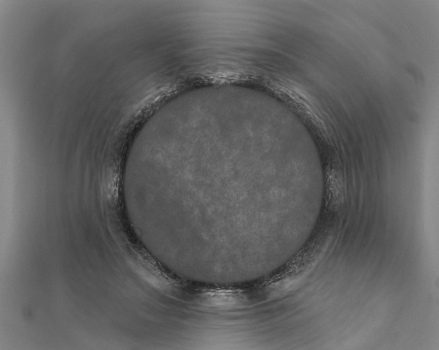 X0000111520499200908041246