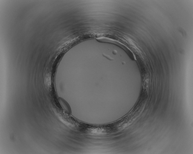 X0000111520500200908041246