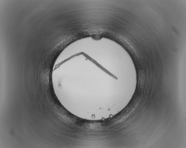 X0000111520501200908041246