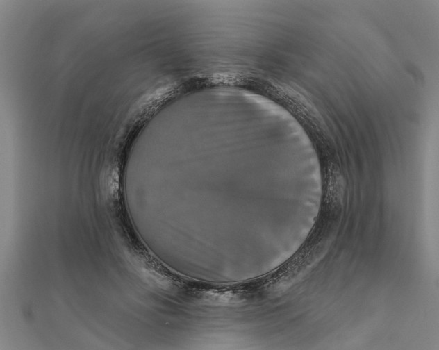 X0000111520502200908041246