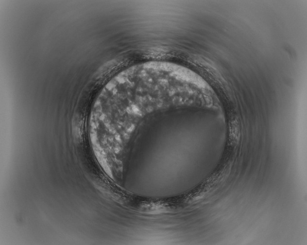X0000111520503200908041246
