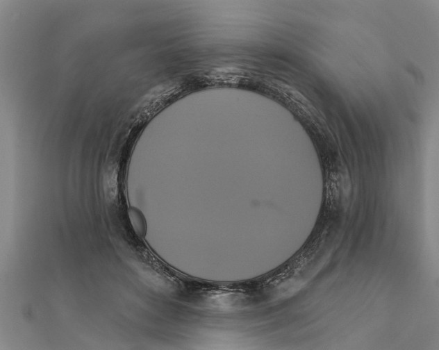 X0000111520504200908041246