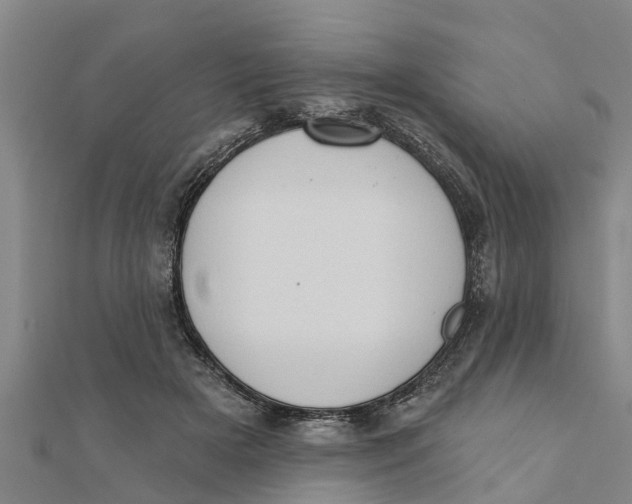 X0000111520505200908041246