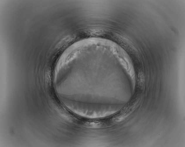 X0000111520506200908041246