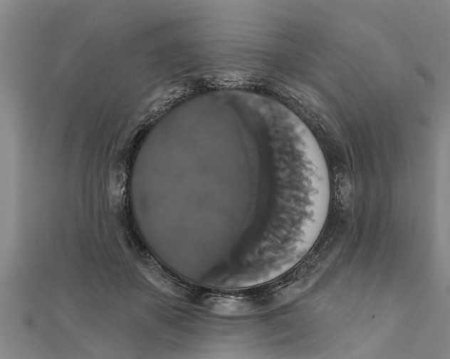 X0000111520507200908041246