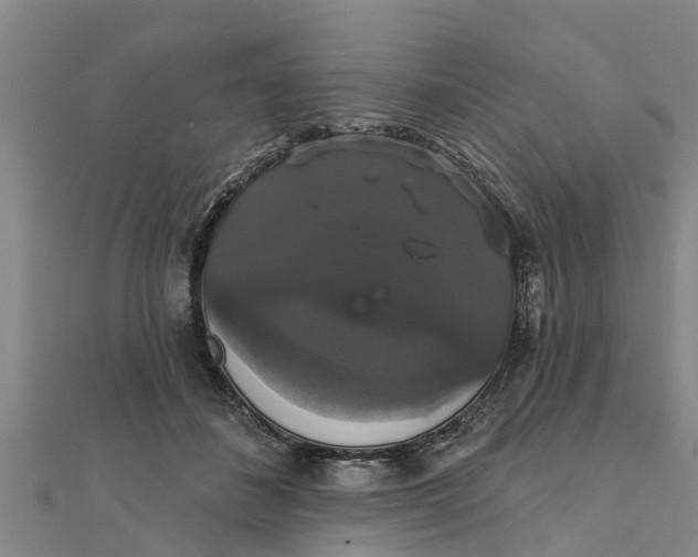 X0000111520508200908041246