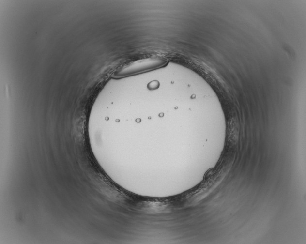 X0000111520509200908041246