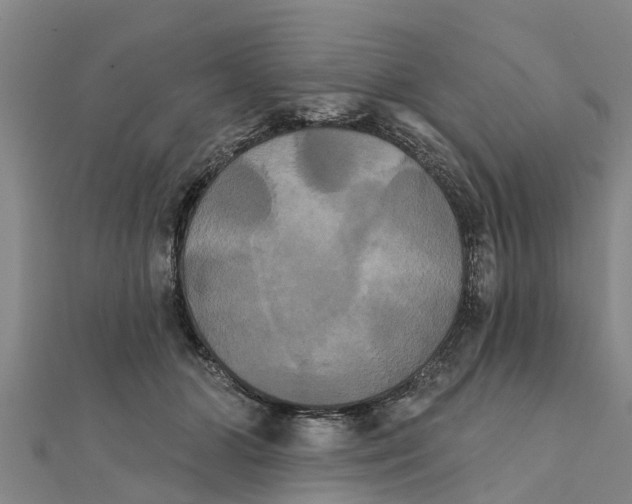 X0000111520510200908041246