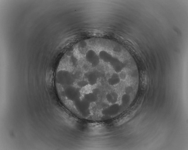 X0000111520511200908041246