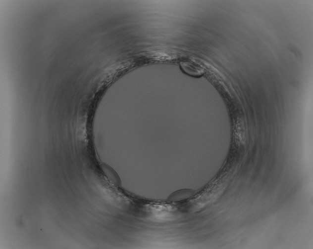 X0000111520512200908041246