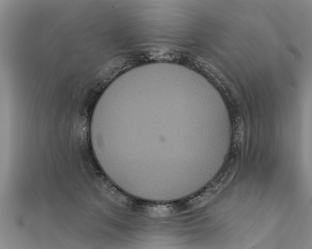 X0000111520513200908041246
