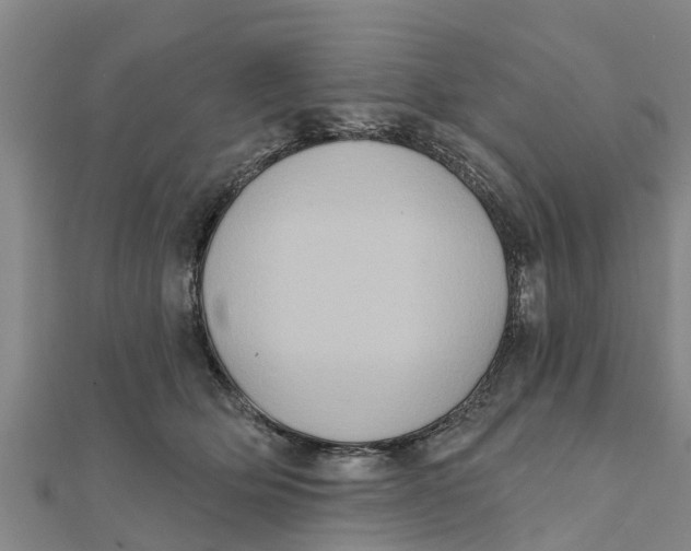 X0000111520514200908041246