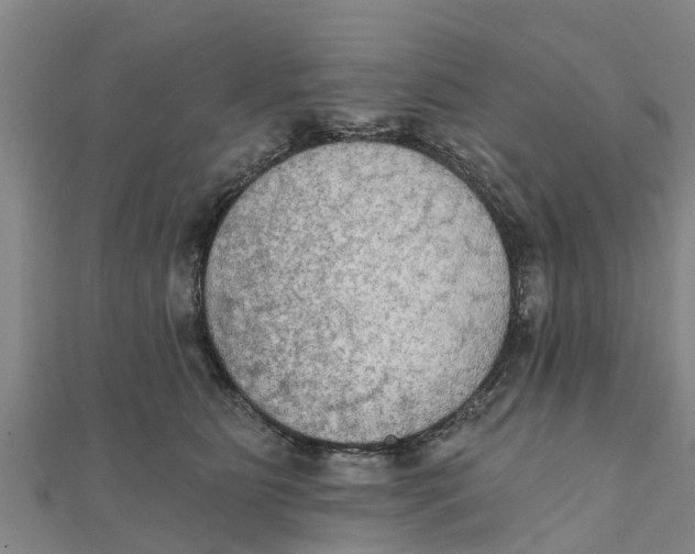 X0000111520515200908041246