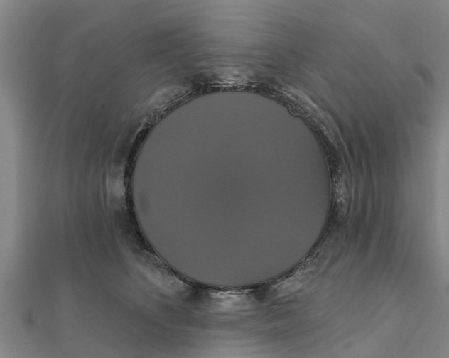 X0000111520516200908041246
