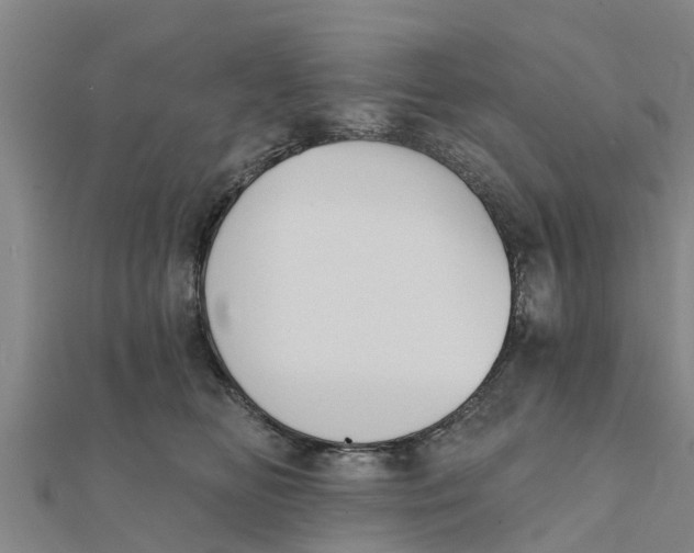 X0000111520518200908041246