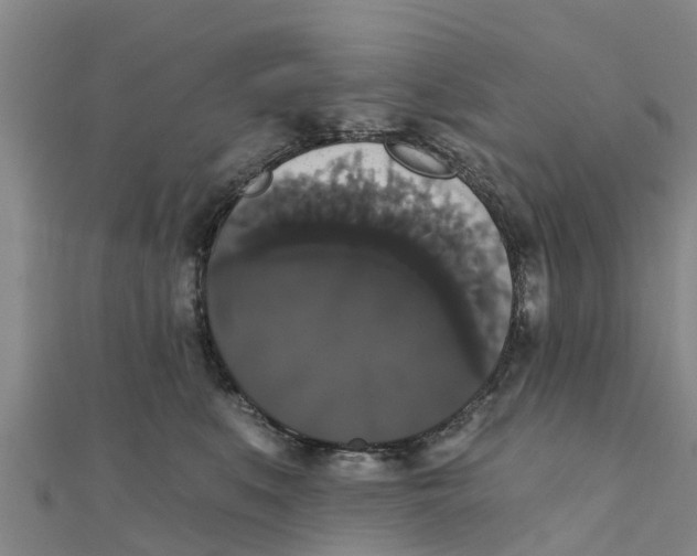X0000111520519200908041246