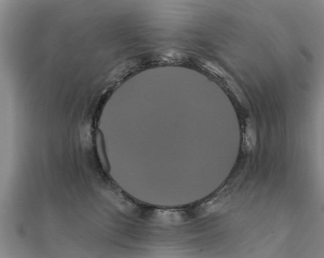 X0000111520520200908041246