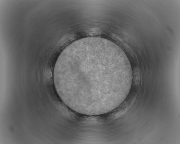 X0000111520523200908041246