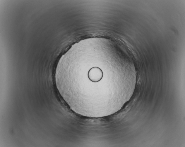X0000111520524200908041246