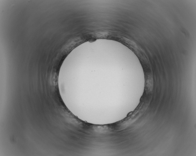 X0000111520525200908041246