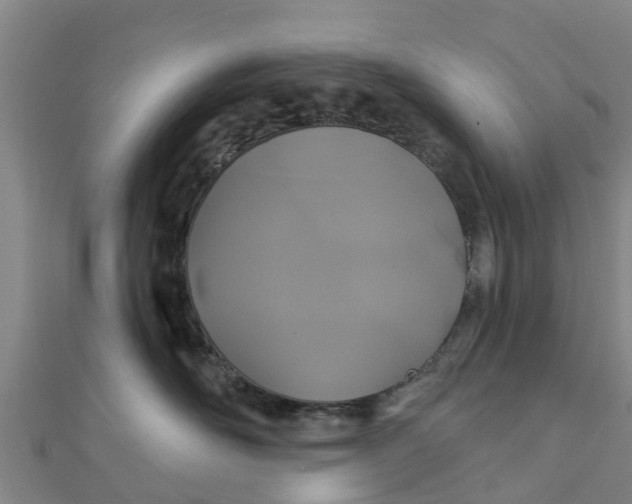 X0000111520526200908041246