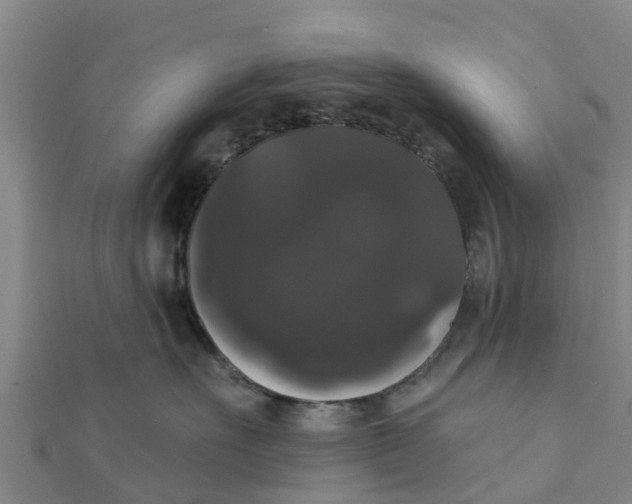 X0000111520527200908041246