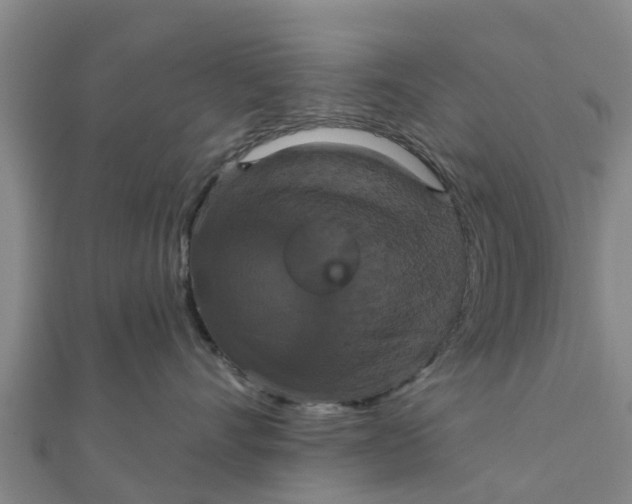 X0000111520528200908041246