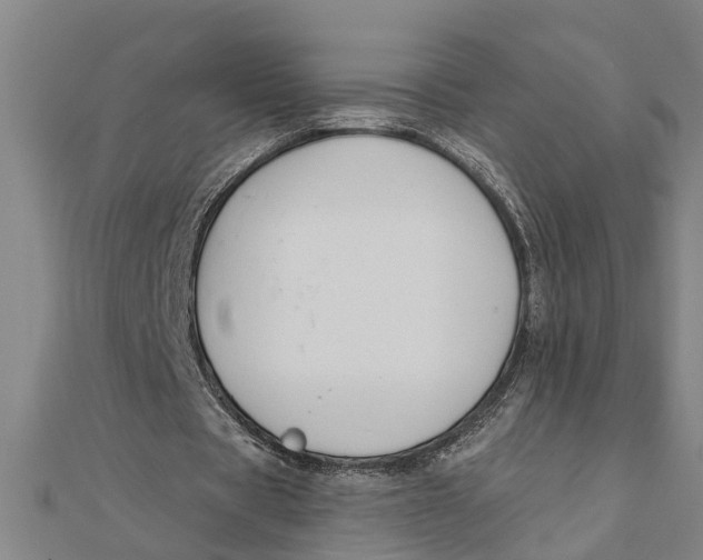 X0000111520529200908041245