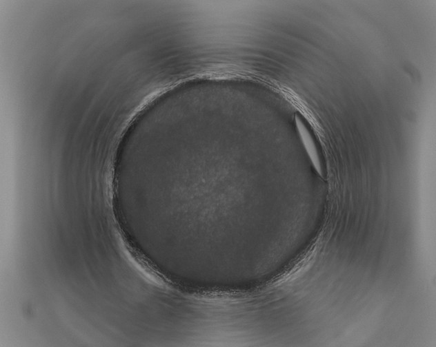 X0000111520530200908041245