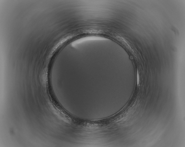 X0000111520531200908041246