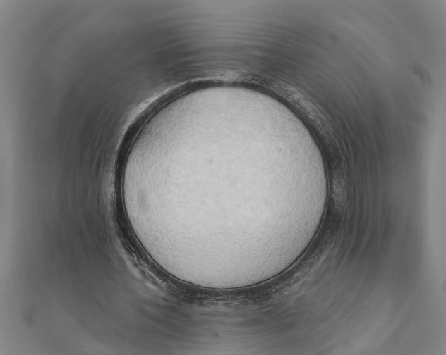 X0000111520532200908041246