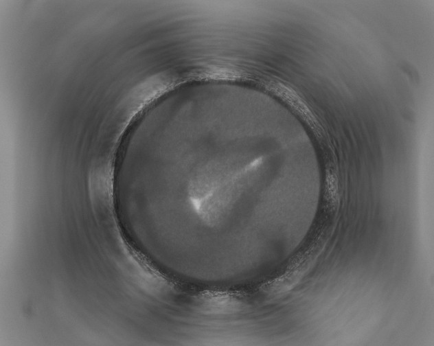 X0000111520534200908041246