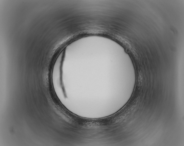 X0000111520535200908041246