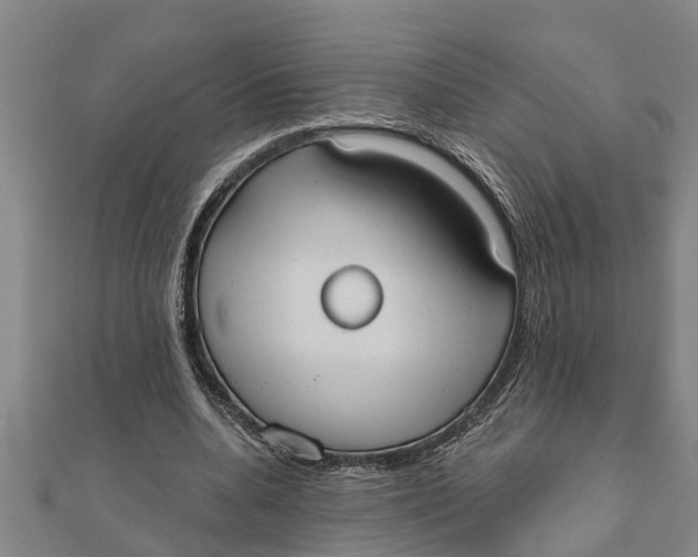 X0000111520536200908041246