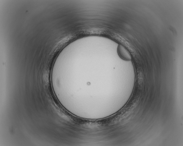 X0000111520537200908041246