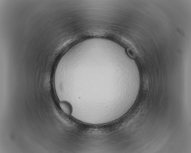 X0000111520538200908041246