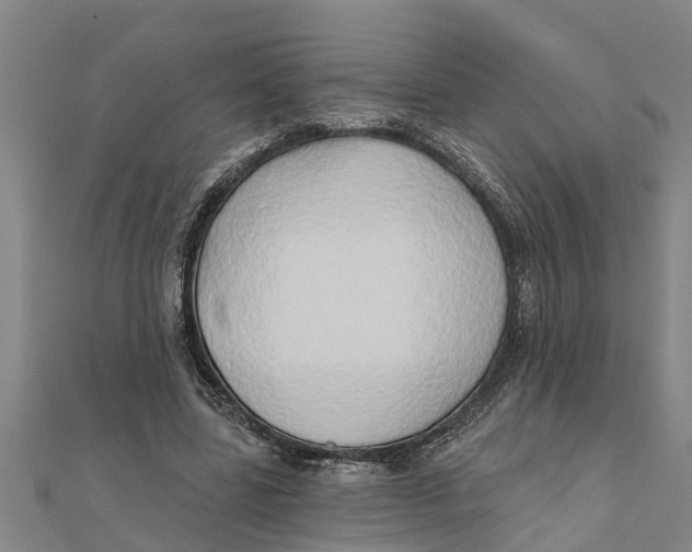 X0000111520539200908041246