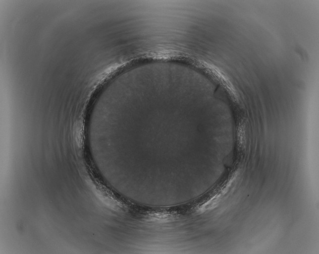 X0000111520540200908041246