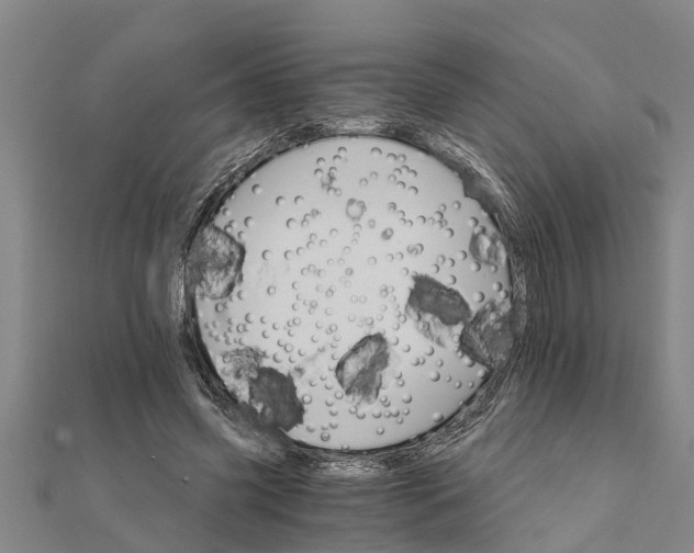 X0000111520541200908041246