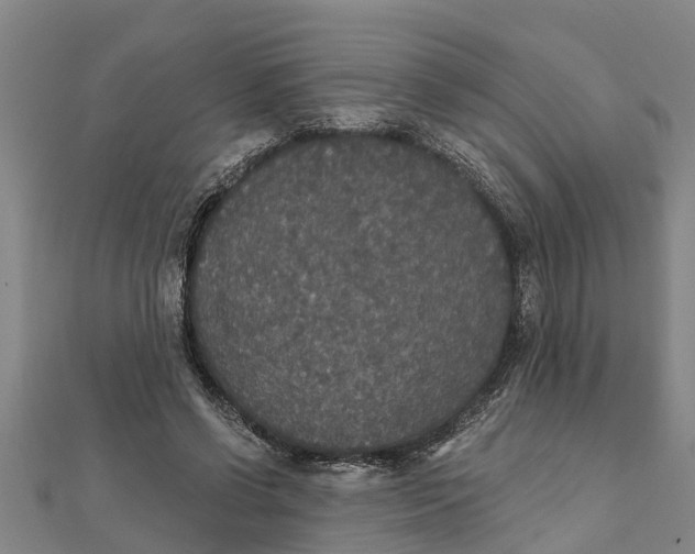 X0000111520542200908041246