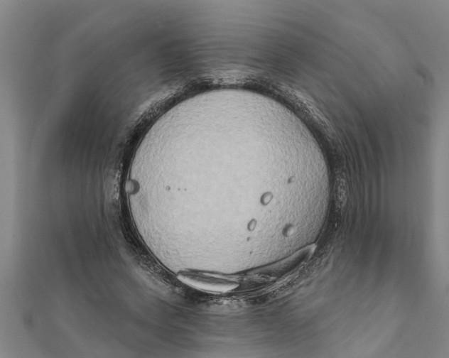 X0000111520543200908041246
