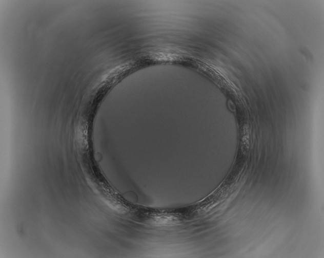 X0000111520547200908041246